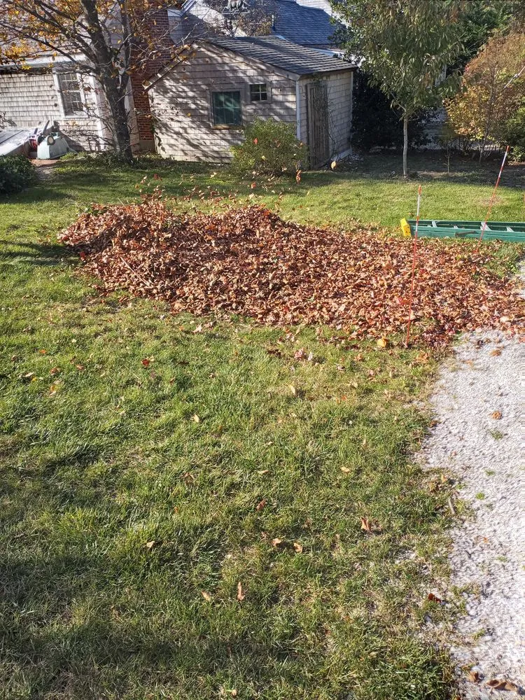 Reliable lawn care service for year-round maintenance in Truro, MA by K&W Landscaping & Handyman Services