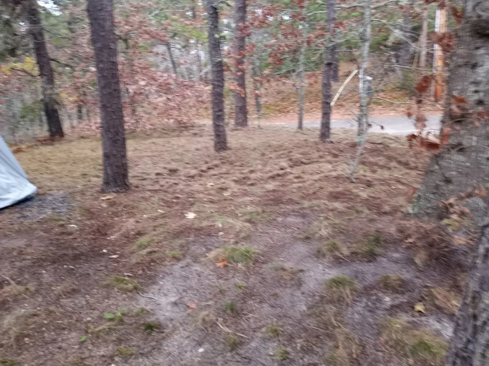 Reliable lawn mowing service for beautiful yards in Truro, MA by K&W Landscaping & Handyman Services