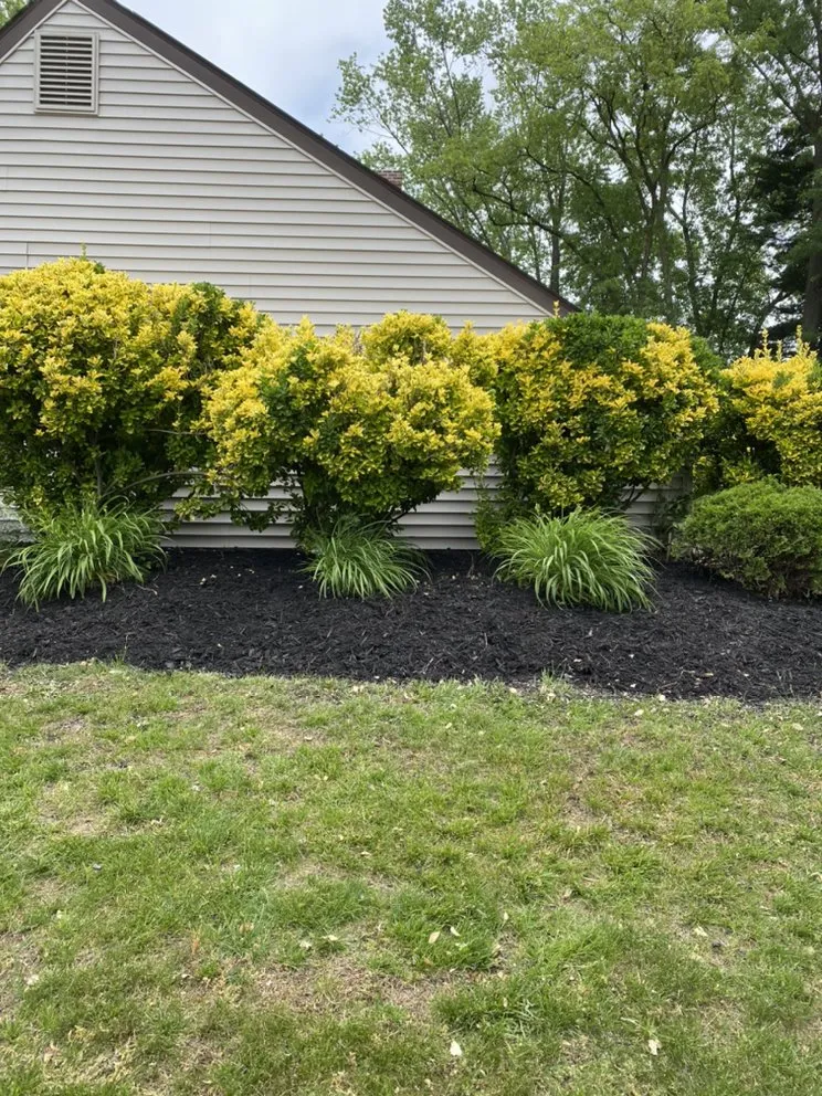 Custom lawn mowing service experts serving Lumberton, NJ - K&w Landscaping