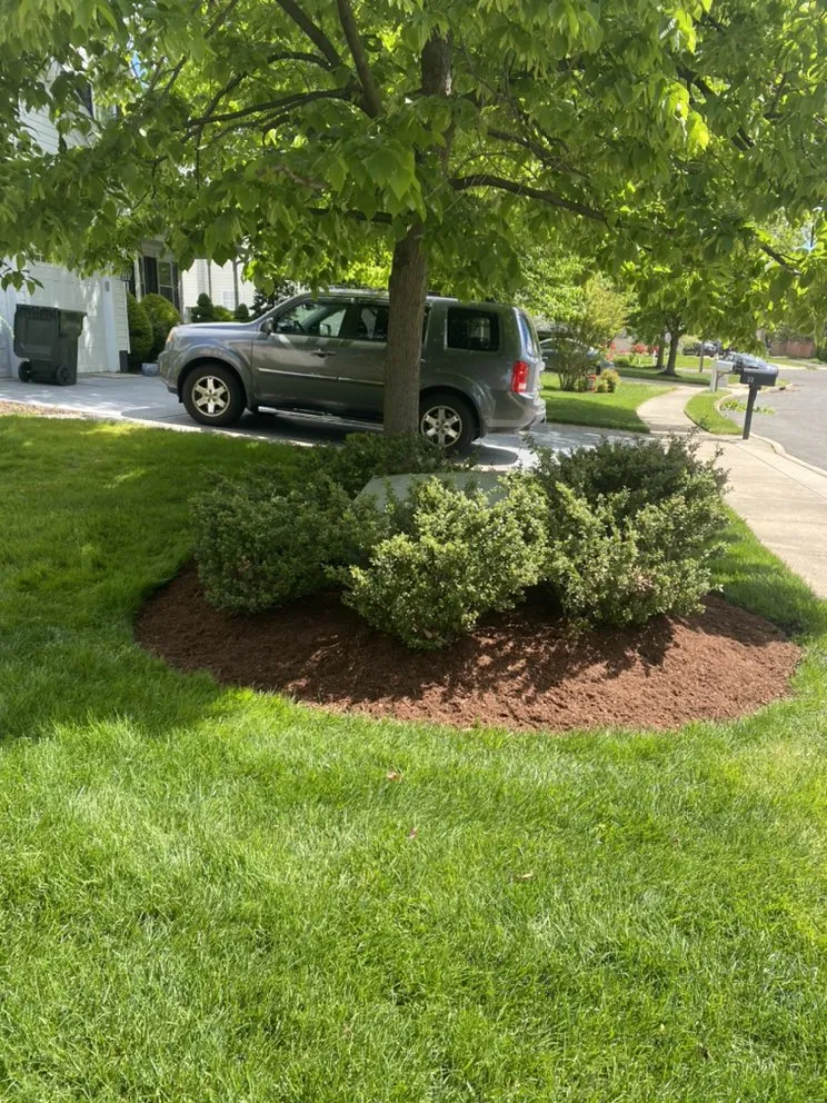 Top-rated landscape design with custom design across Lumberton, NJ - K&w Landscaping