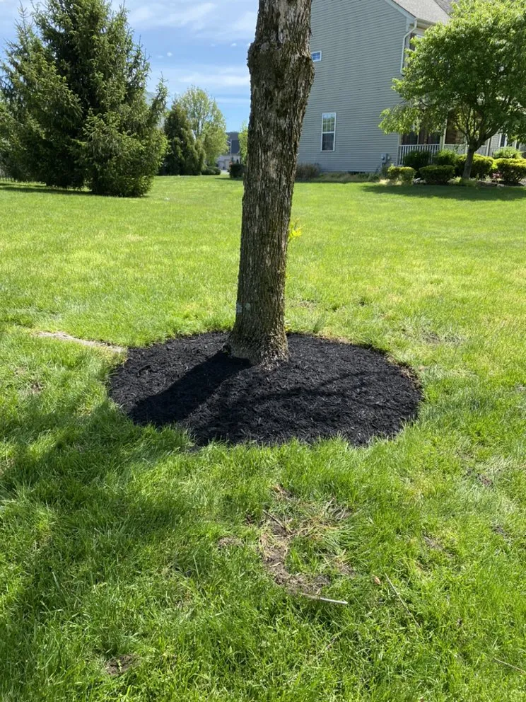 Affordable lawn mowing service in Lumberton, NJ - K&w Landscaping