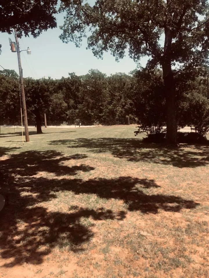 Professional landscaping services for year-round maintenance in Tecumseh, OK by K&W Landscaping