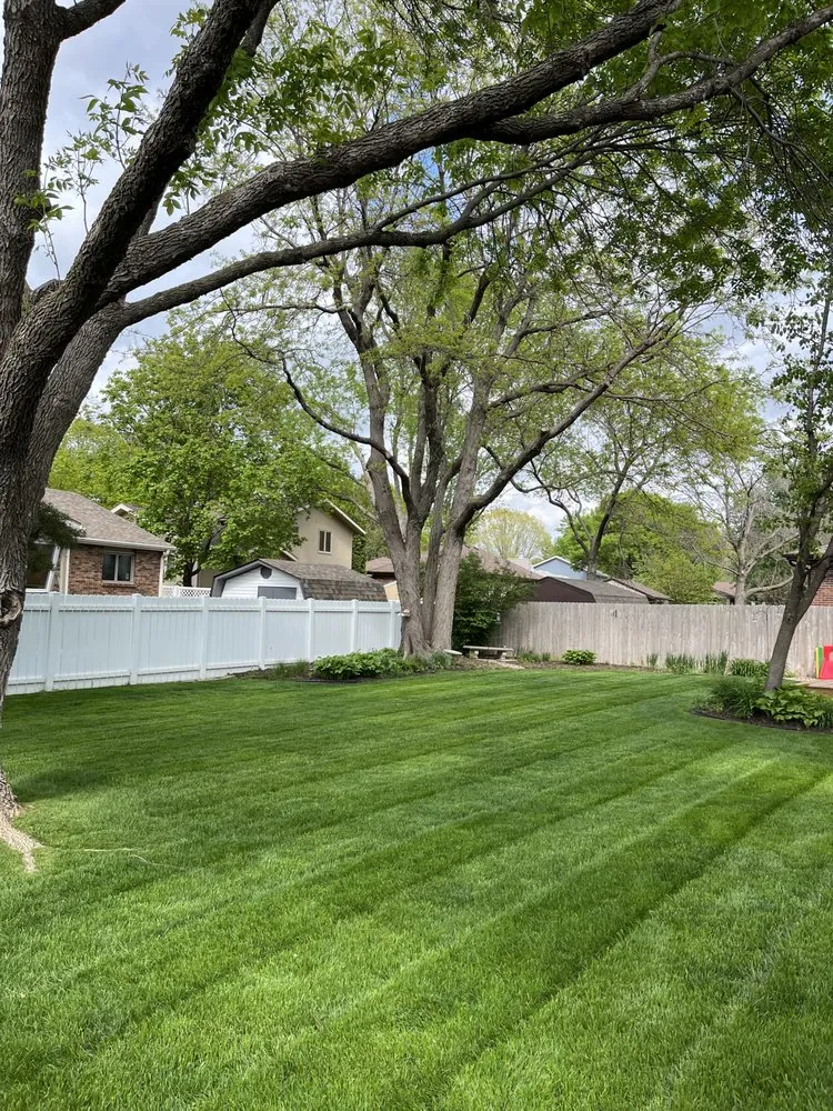 Expert yard cleanup service for residential properties across Lincoln, NE - KW Lawn and Landscape