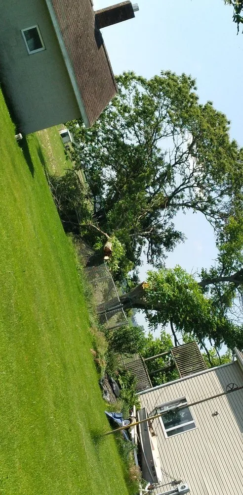 Top-rated landscaping services for year-round maintenance in Goshen, IN by K&W Lawn Care