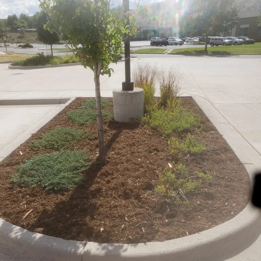 Custom yard maintenance experts serving Arvada, CO - KW Lawn Service and Snow Removal