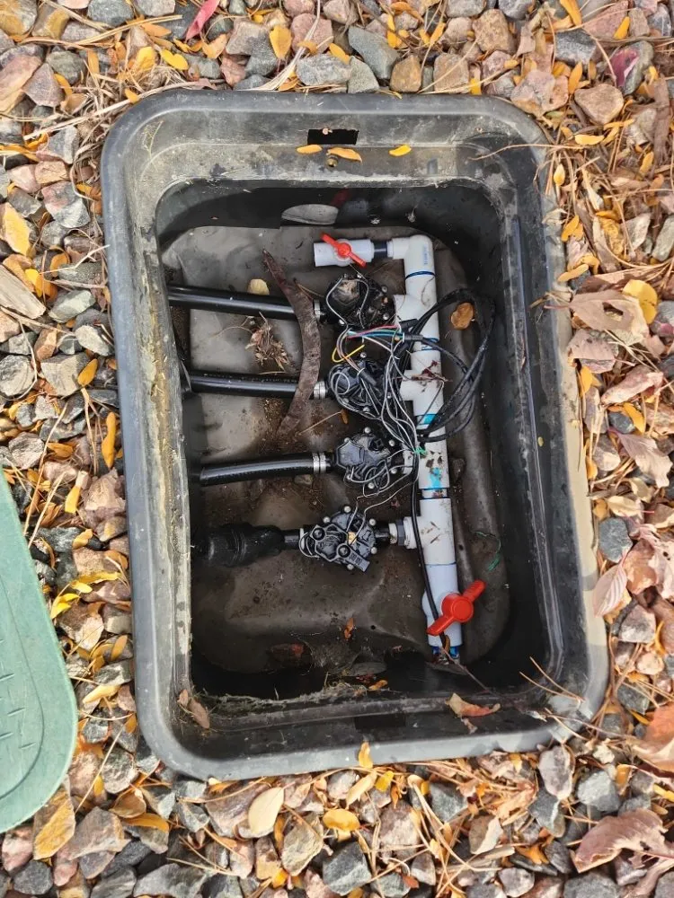 Expert yard cleanup service experts serving Arvada, CO - KW Lawn Service and Snow Removal