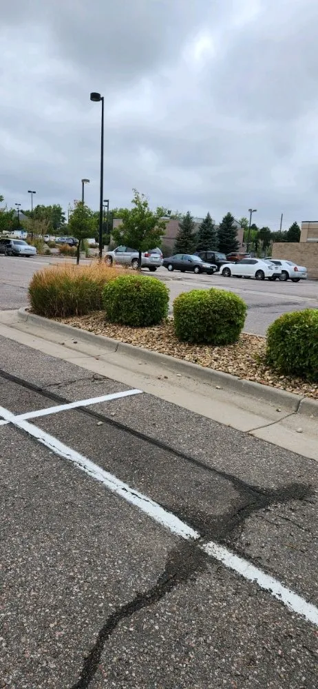 Trusted yard cleanup service in Arvada, CO by KW Lawn Service and Snow Removal