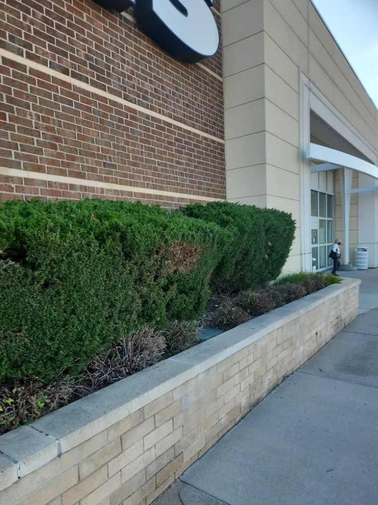 Expert lawn mowing service for year-round maintenance across Arvada, CO - KW Lawn Service and Snow Removal