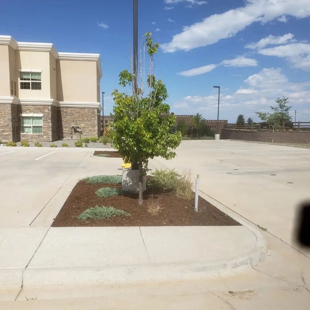 Custom yard maintenance for homes across Arvada, CO - KW Lawn Service and Snow Removal