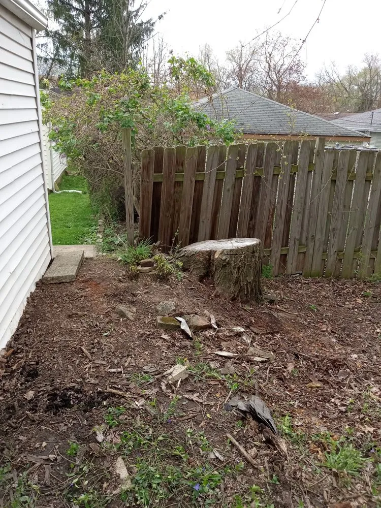 Professional yard cleanup service in Cleveland, OH by Kw services & creations
