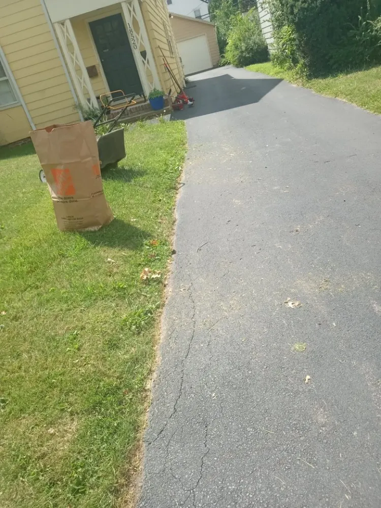 Expert yard cleanup service in Cleveland, OH - Kw services & creations
