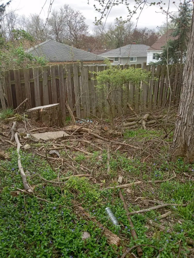 Top-rated lawn care service in Cleveland, OH - Kw services & creations