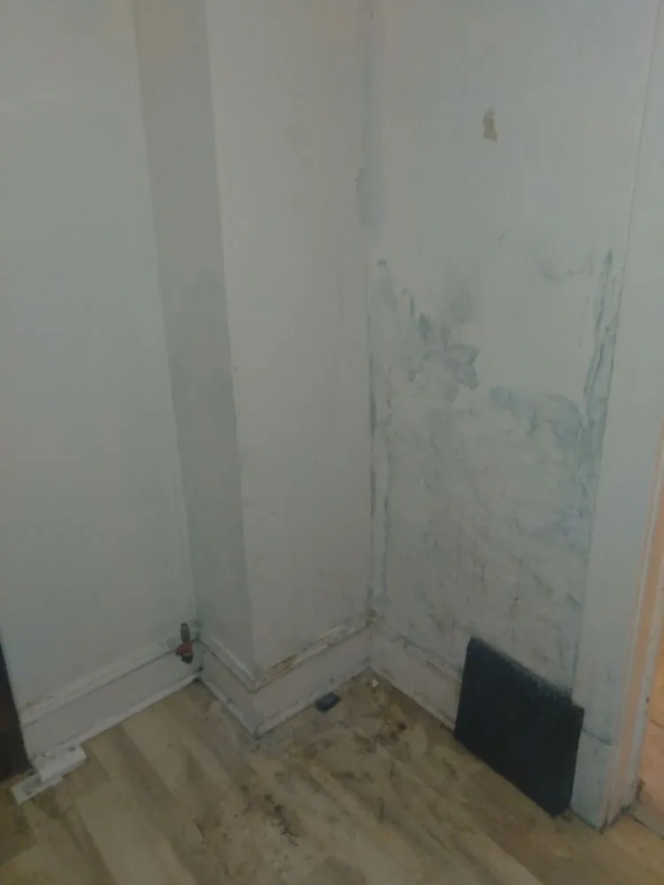 Top-rated landscaping services experts serving Cleveland, OH - Kw services & creations