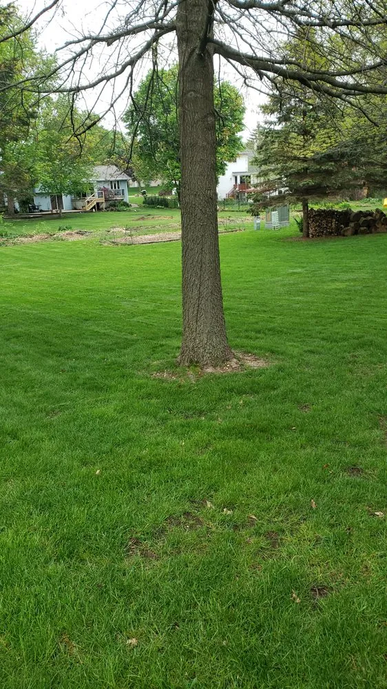 Custom residential landscaping experts serving Roscoe, IL - Kwazzy's Lawn Care