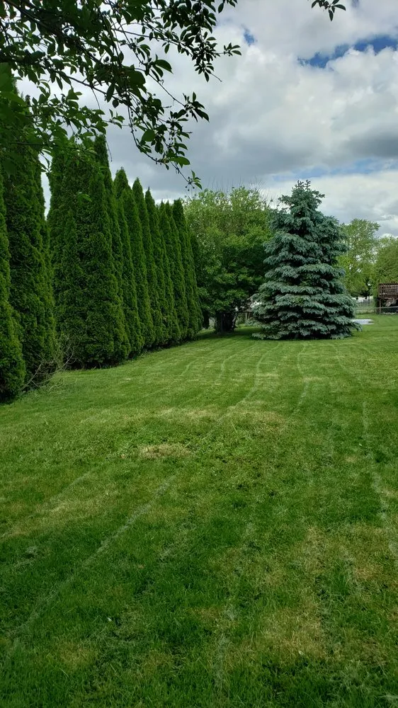 Reliable garden landscaping experts serving Roscoe, IL - Kwazzy's Lawn Care