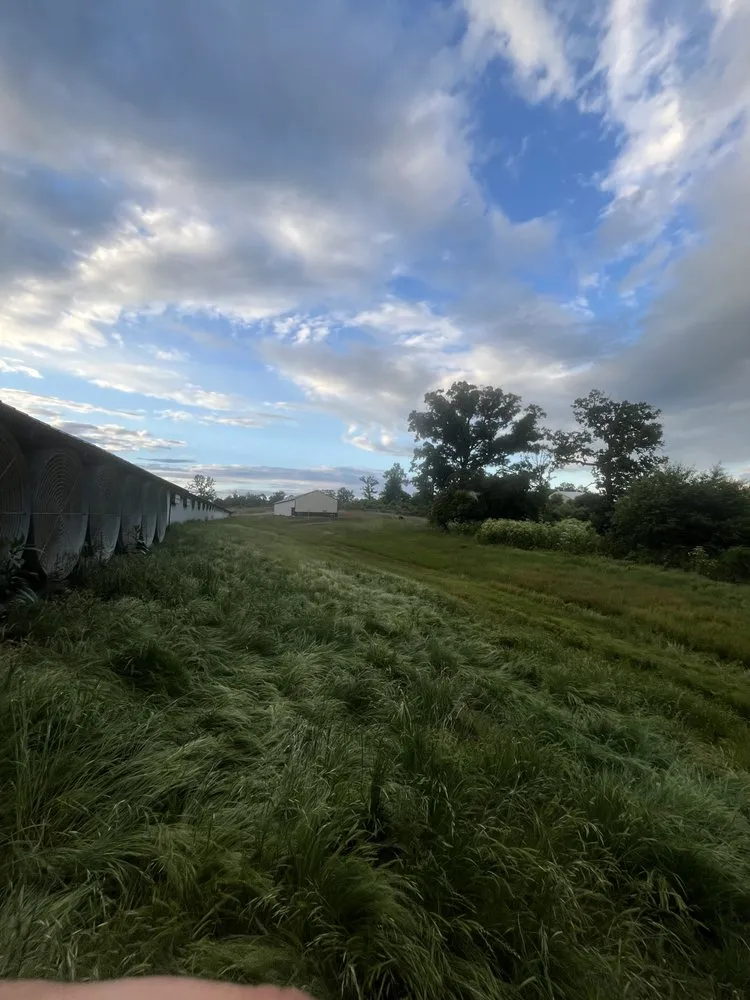 Top-rated lawn mowing service in Siloam Springs, AR - Kwb Lawn Care