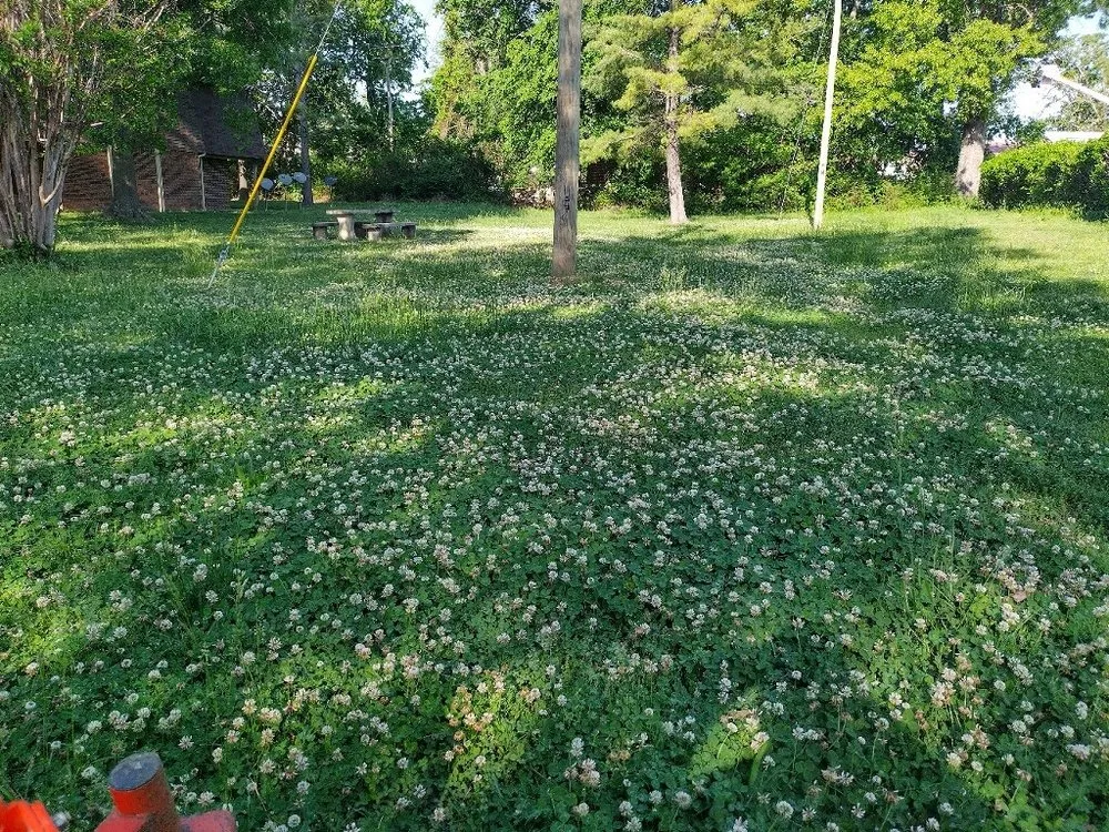 Reliable residential landscaping in Siloam Springs, AR - Kwb Lawn Care