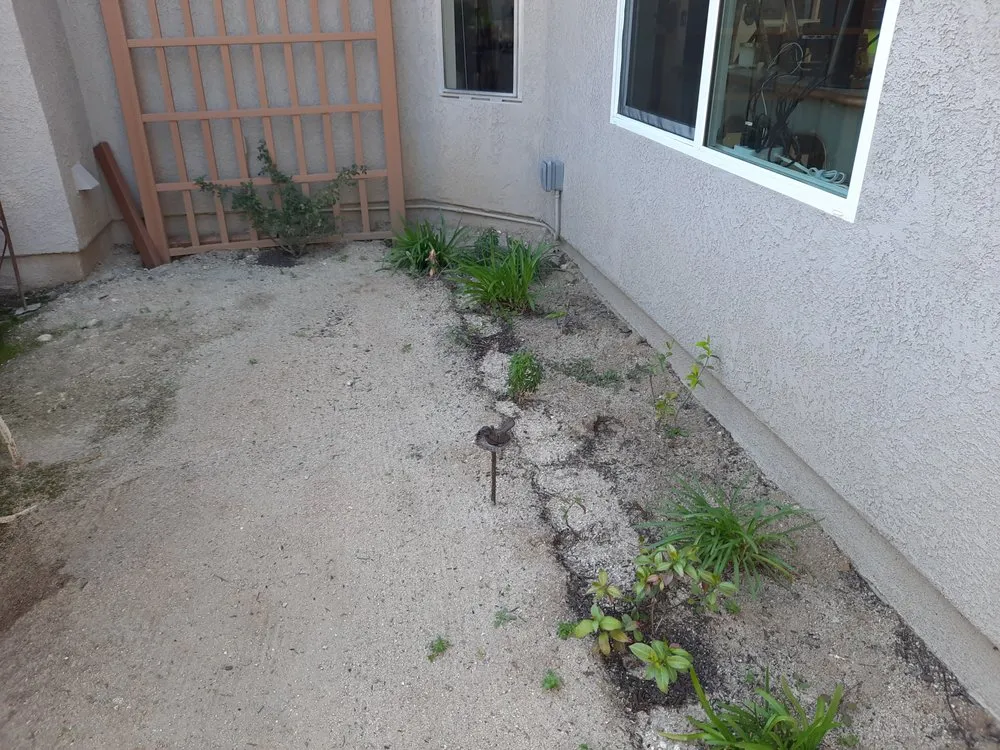 Custom yard maintenance experts serving Menifee, CA - Kwik Kerb by Guido