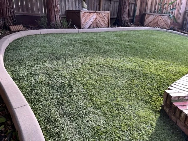 Affordable yard maintenance in Folsom, CA - Kwik Kerb of Folsom