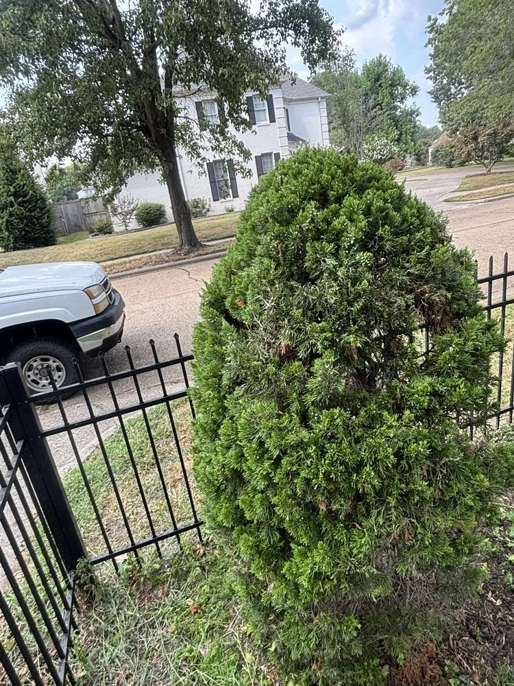 Top-rated residential landscaping near you in Miner, MO by Kwik Kutz Lawn & Home Care