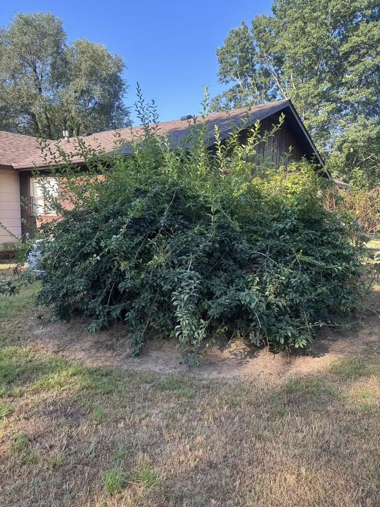 Affordable landscaping services near you in Miner, MO by Kwik Kutz Lawn & Home Care