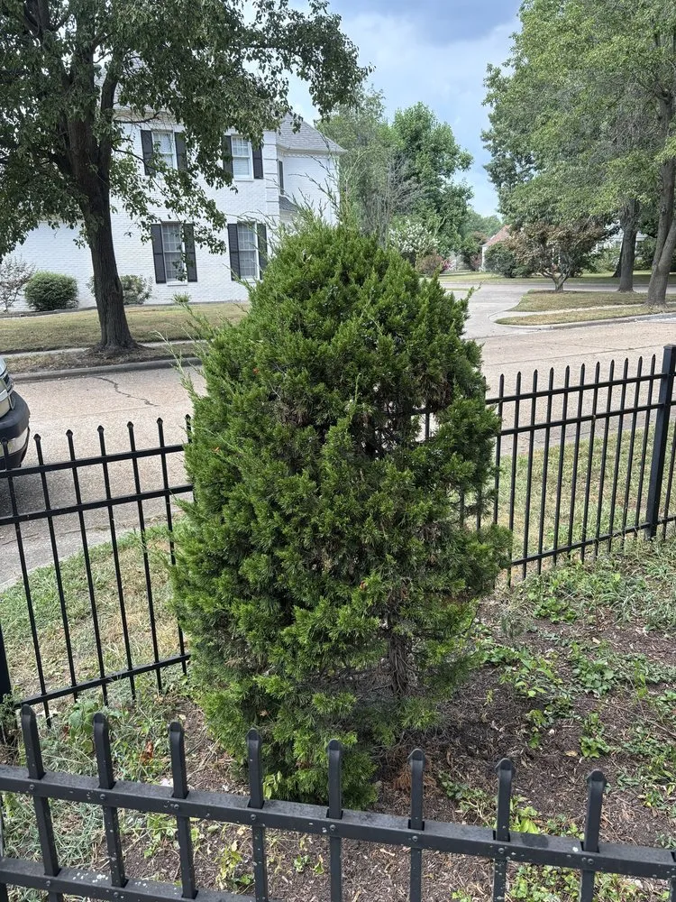 Local garden landscaping experts serving Miner, MO - Kwik Kutz Lawn & Home Care