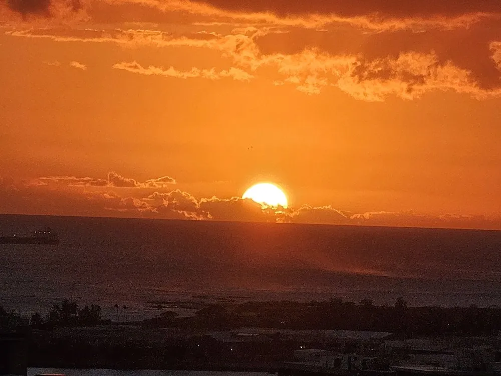 Top-rated landscaping services with custom design across Honolulu, HI - KX Services Hawaii