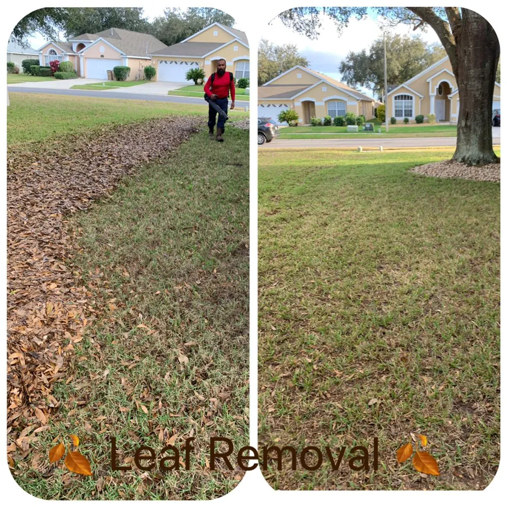Trusted landscaping services experts serving Wintergarden, FL - KXS Lawn Care