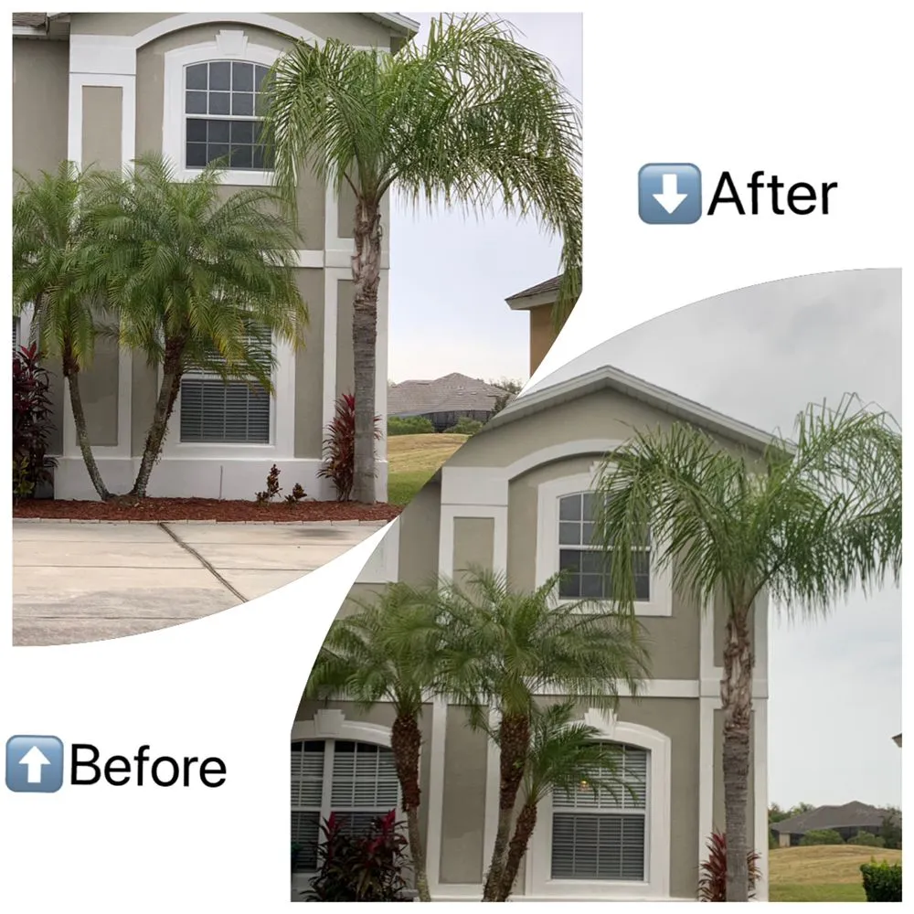 Reliable landscape design in Wintergarden, FL by KXS Lawn Care