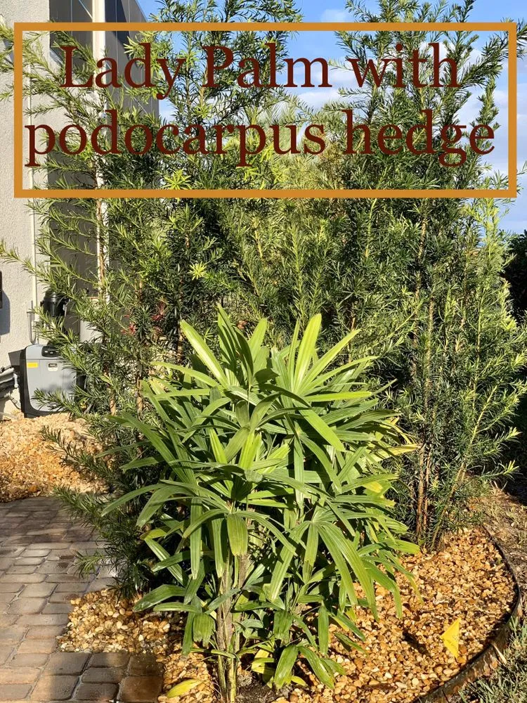 Professional yard maintenance with custom design across Wintergarden, FL - KXS Lawn Care
