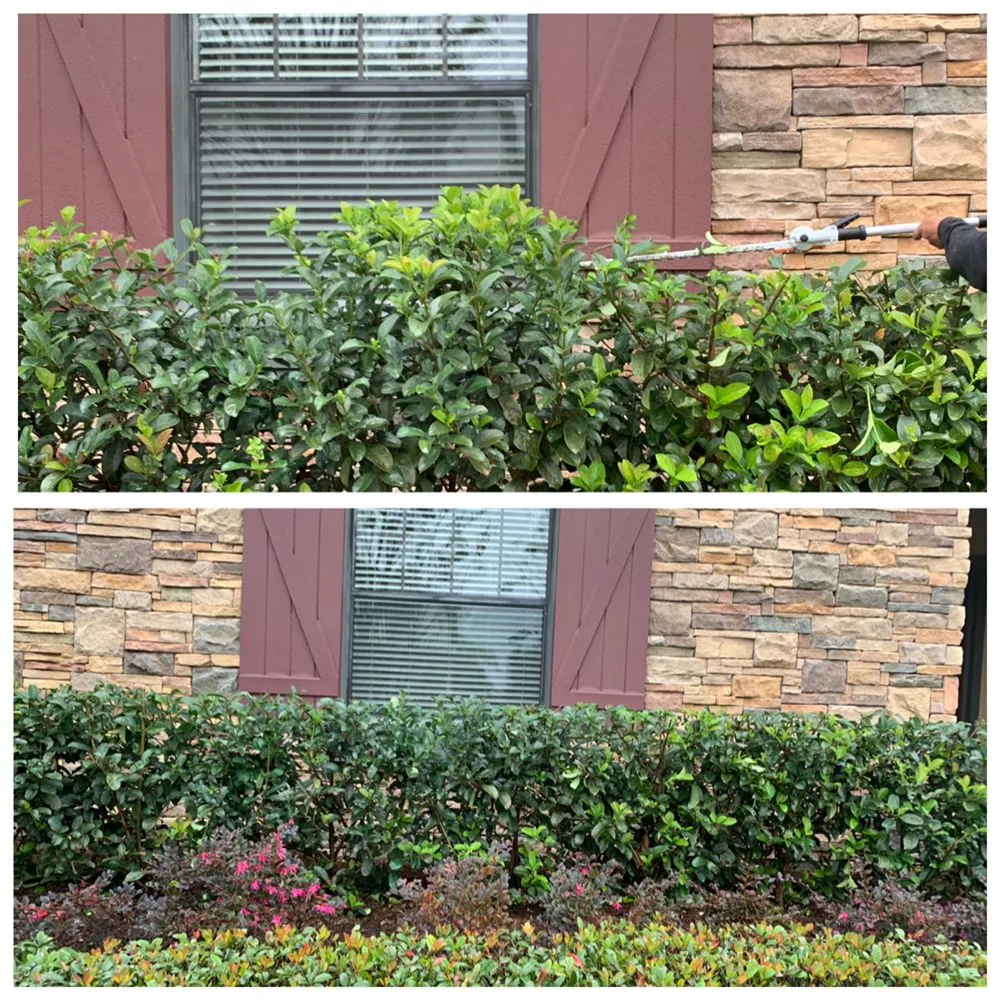 Top-rated lawn mowing service in Wintergarden, FL by KXS Lawn Care