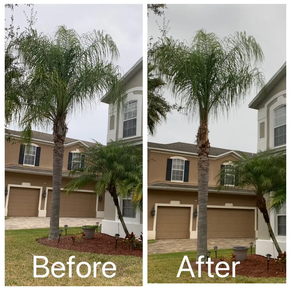 Custom garden landscaping for beautiful yards across Wintergarden, FL - KXS Lawn Care