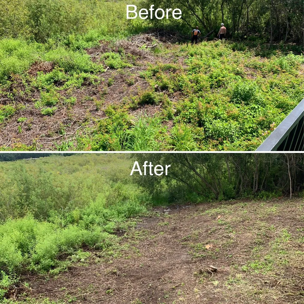 Professional lawn mowing service near you across Wintergarden, FL - KXS Lawn Care