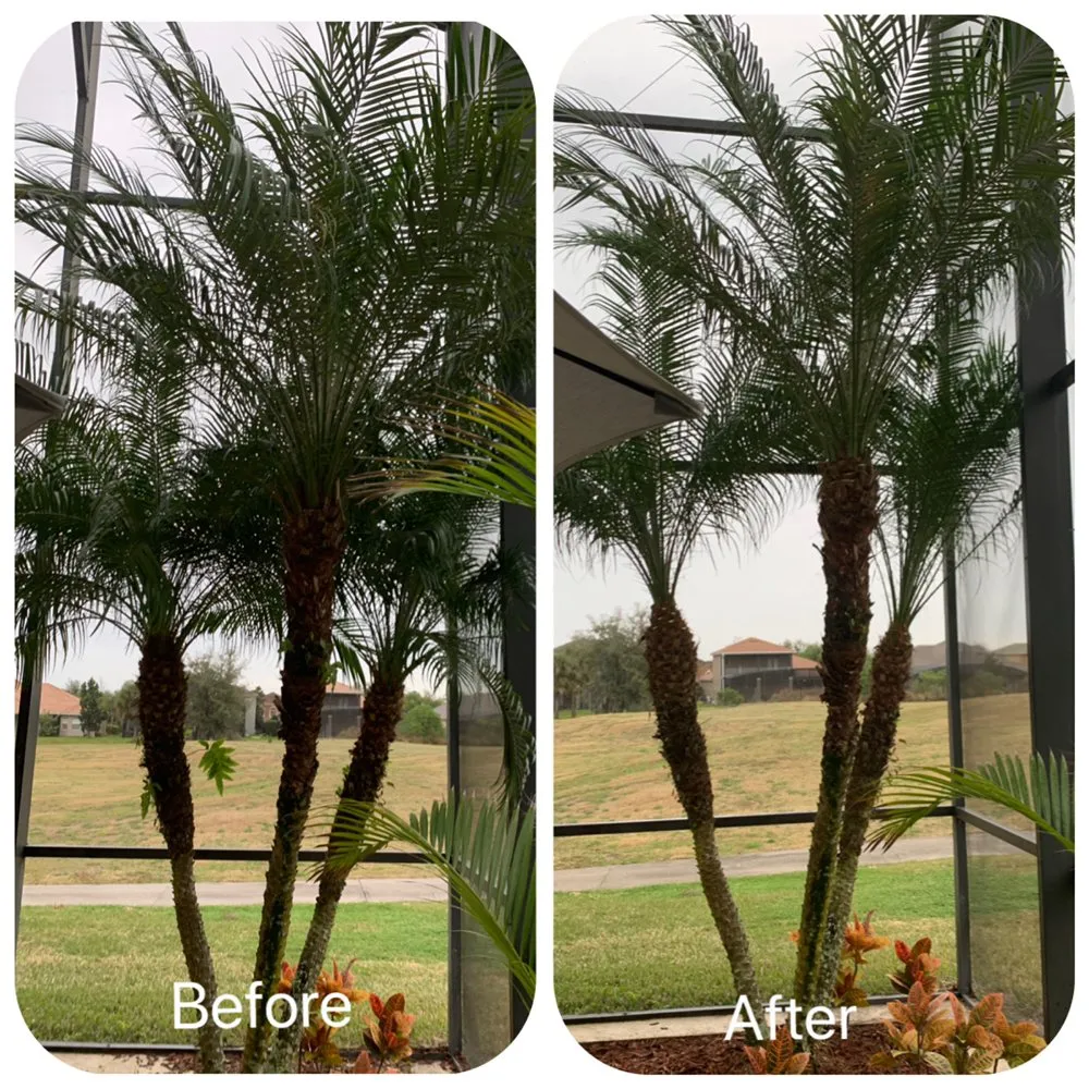 Reliable garden landscaping experts serving Wintergarden, FL - KXS Lawn Care
