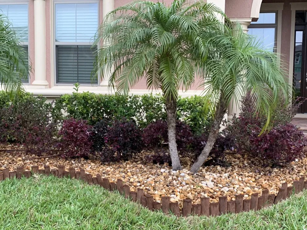 Reliable yard cleanup service near you across Wintergarden, FL - KXS Lawn Care