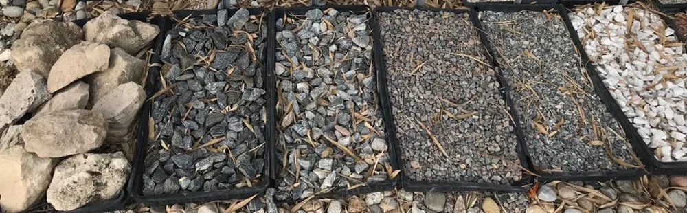 Reliable yard cleanup service in Wintergarden, FL - KXS Lawn Care