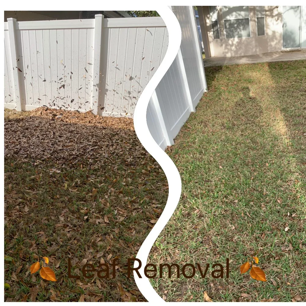 Top-rated lawn mowing service for year-round maintenance in Wintergarden, FL by KXS Lawn Care