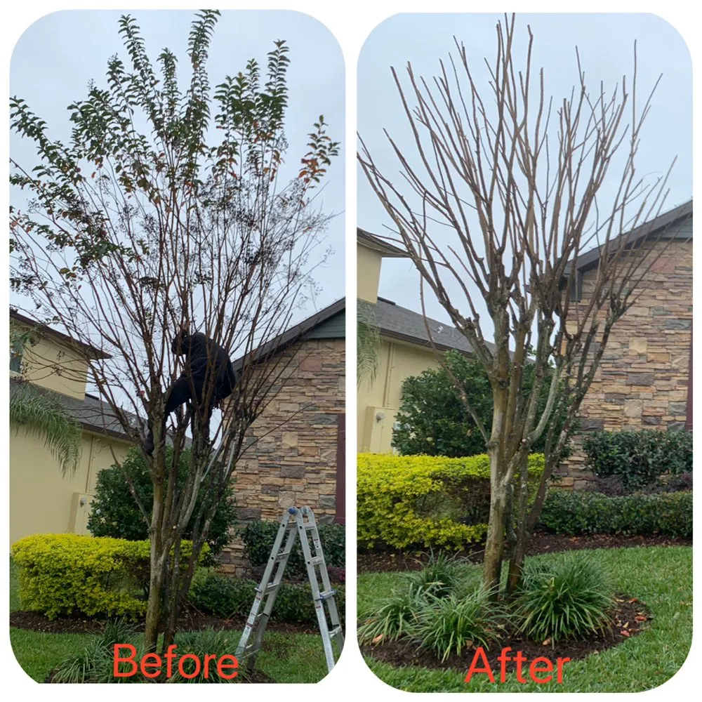 Custom landscape installation in Wintergarden, FL by KXS Lawn Care