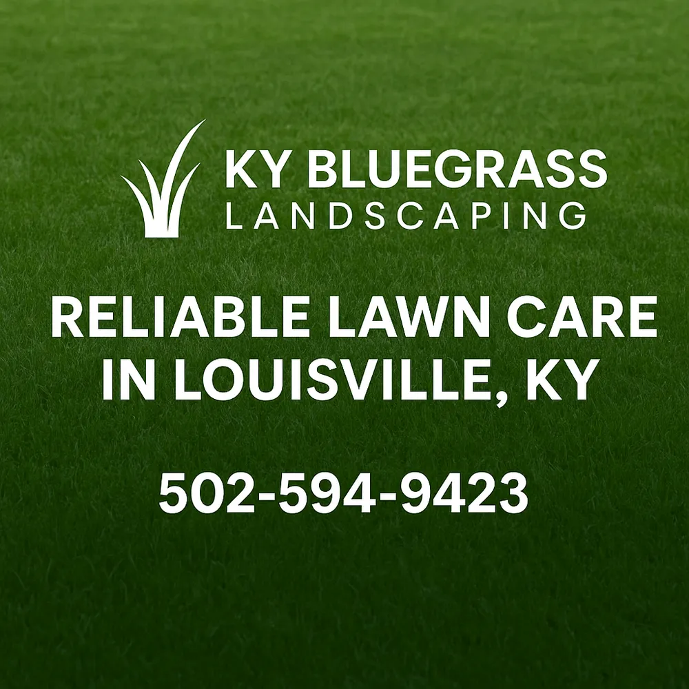 Top-rated landscape design in Louisville, KY - Ky Bluegrass Landscaping