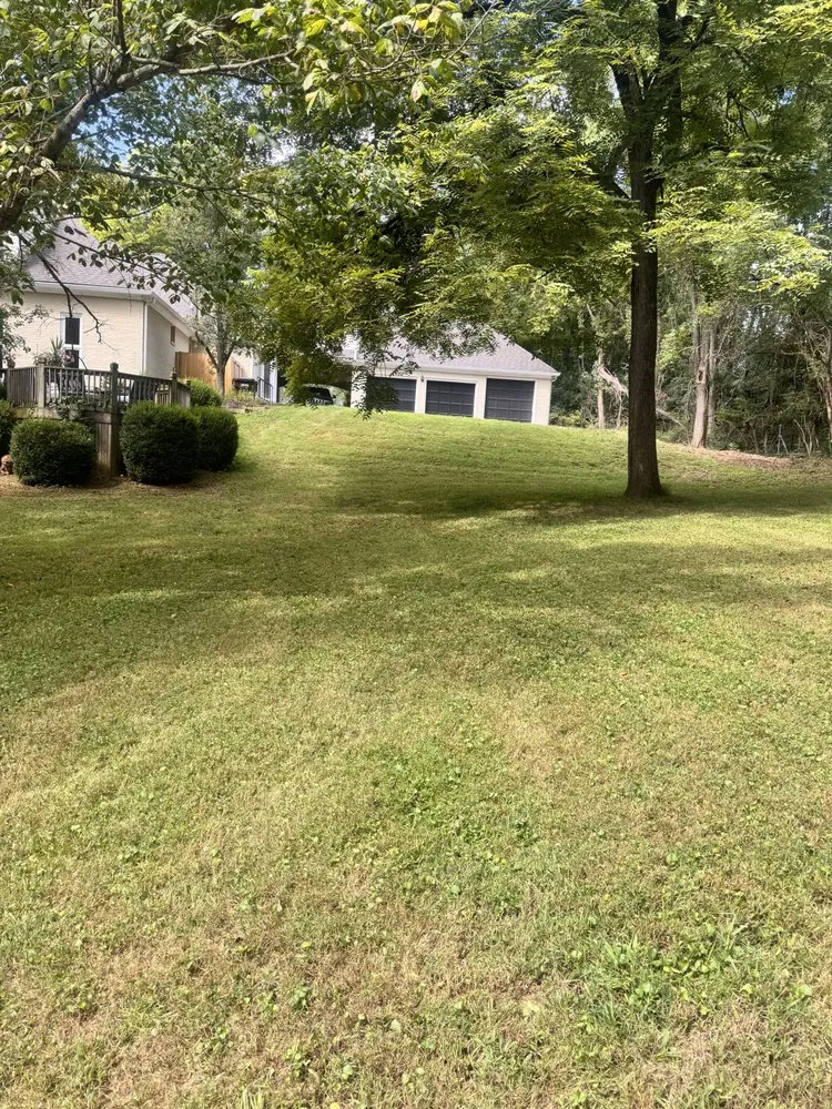 Trusted lawn care service for outdoor upgrades across Louisville, KY - Ky Bluegrass Landscaping