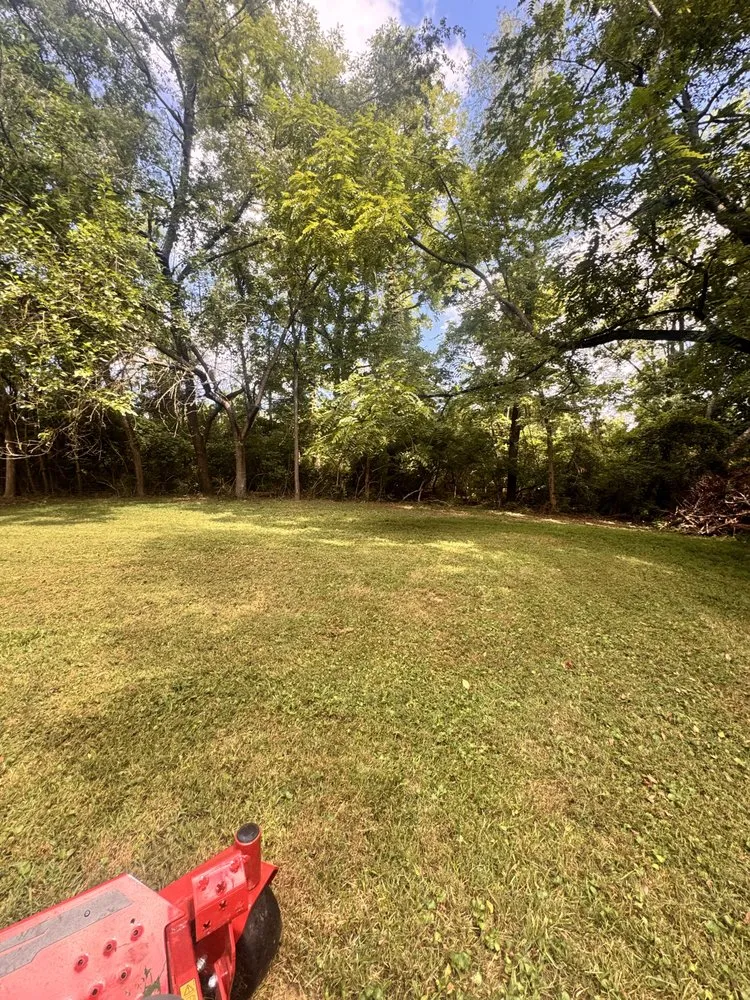 Top-rated residential landscaping in Louisville, KY by Ky Bluegrass Landscaping