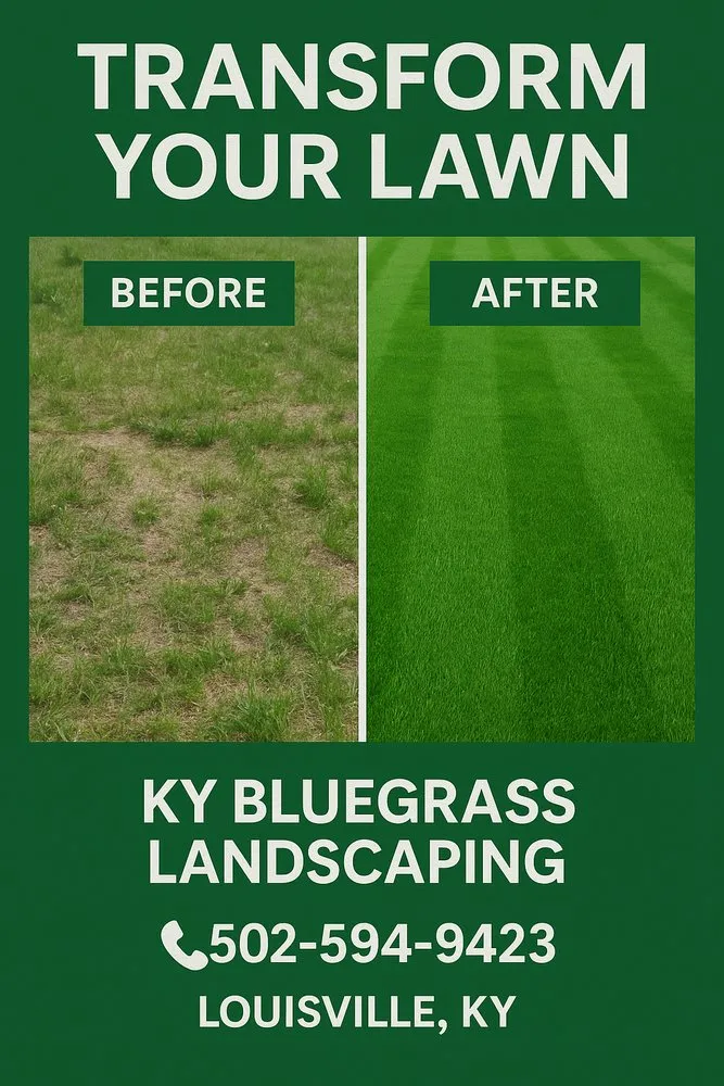 Reliable outdoor landscaping with custom design across Louisville, KY - Ky Bluegrass Landscaping