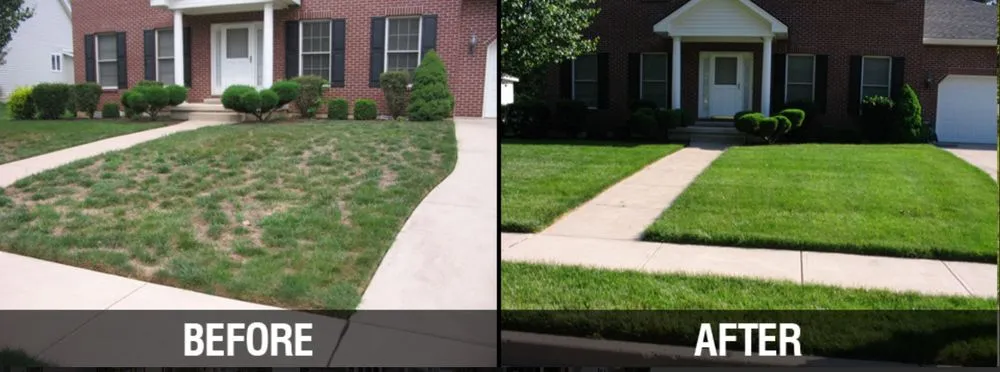 Professional residential landscaping near you across Louisville, KY - Ky Bluegrass Landscaping