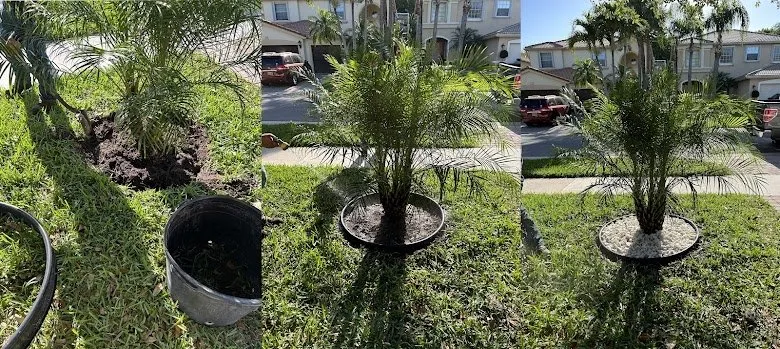 Expert yard cleanup service in Lake Worth, FL by Kyano's Lawn Mowing