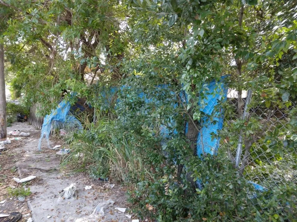 Reliable landscape design in Miami, FL by Kya's Landscaping Trash/Tree Services