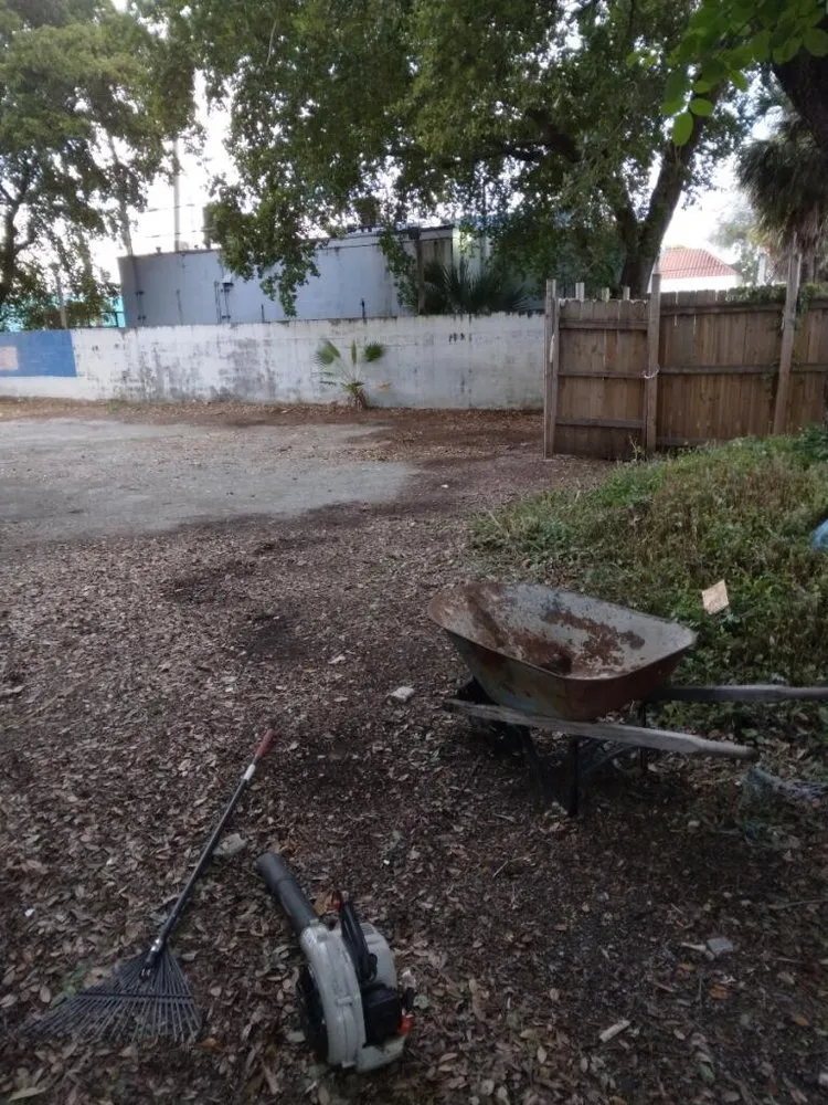 Expert lawn care service in Miami, FL by Kya's Landscaping Trash/Tree Services