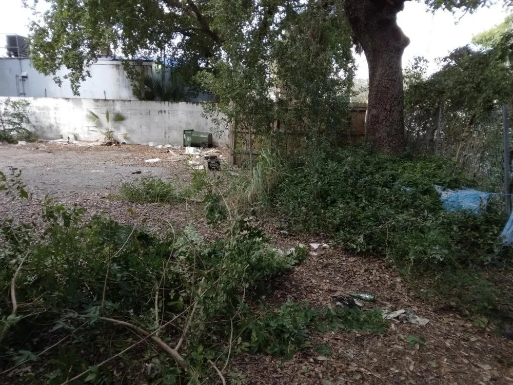 Affordable landscape installation in Miami, FL - Kya's Landscaping Trash/Tree Services