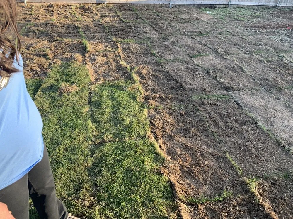 Affordable lawn mowing service in Abilene, TX - Kyle Corbin Landscaping