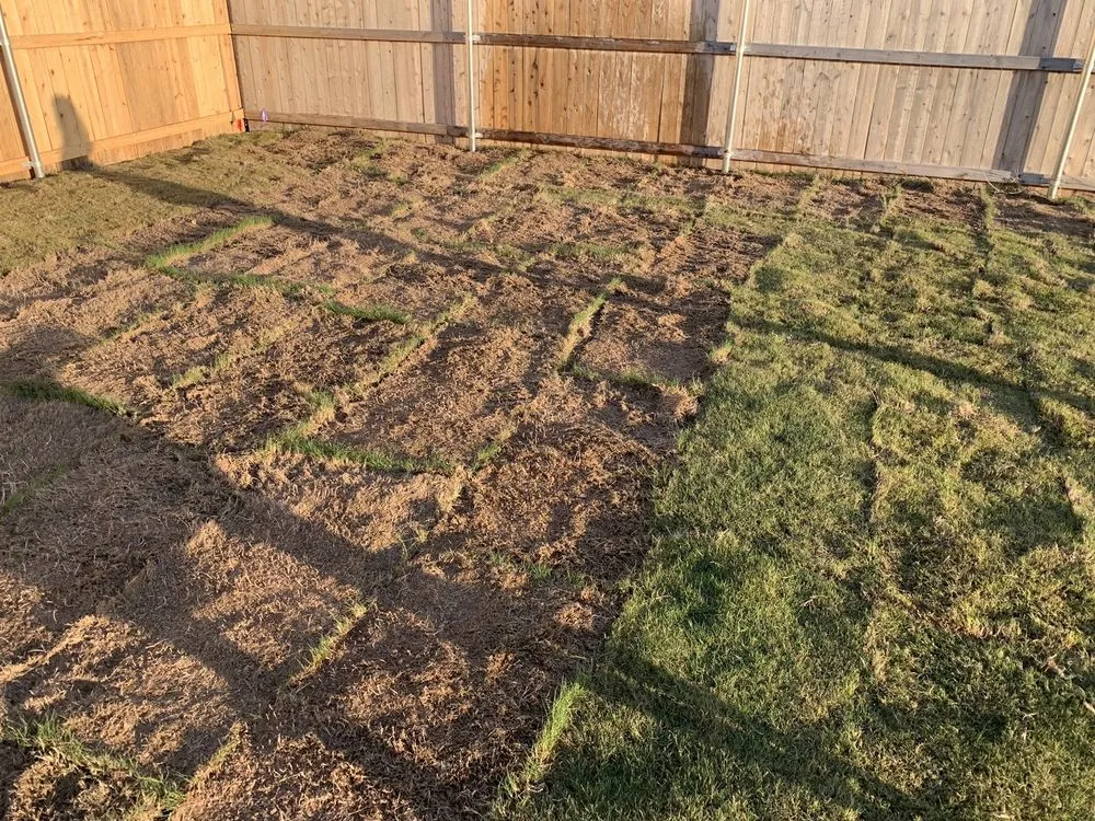 Reliable yard cleanup service in Abilene, TX by Kyle Corbin Landscaping