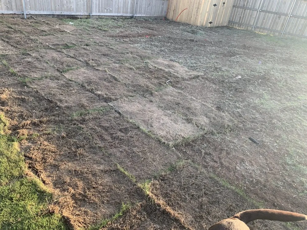 Affordable landscape installation for residential properties across Abilene, TX - Kyle Corbin Landscaping